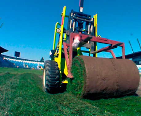INSTALACION DE PASTO BIG ROLL ESATDIO EL TENIENTE