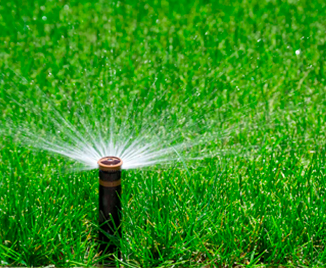 Nombre de Proyecto 1